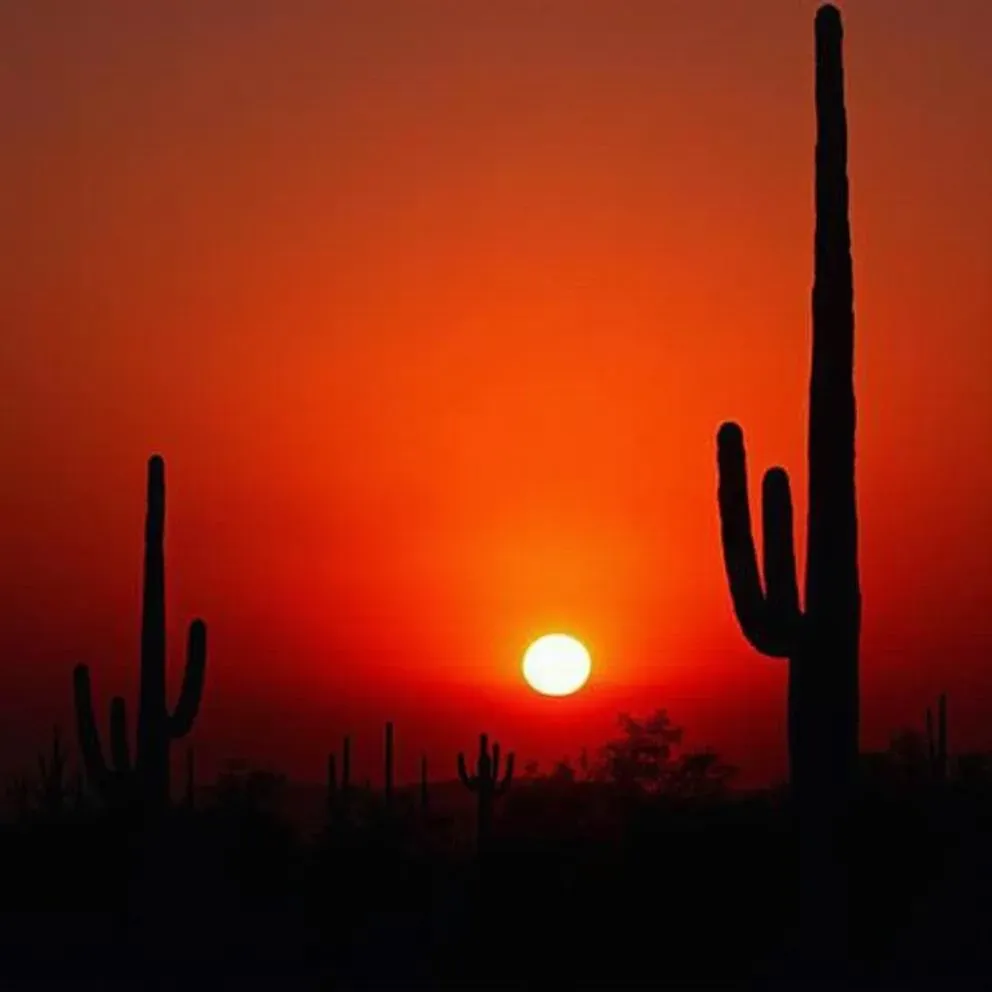 desert.webp